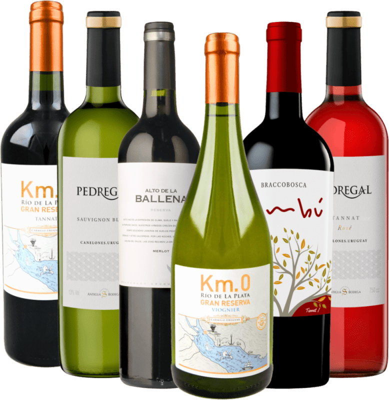 6er Kennenlernpaket - Weine aus Uruguay