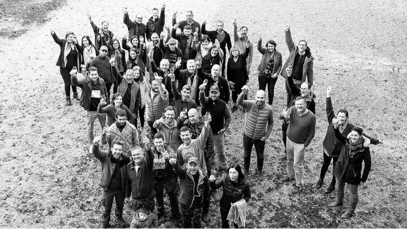 Familjen Fabres team