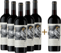 5+1 Vorteils-Weinpaket Fuerza Jumilla - Ego Bodegas