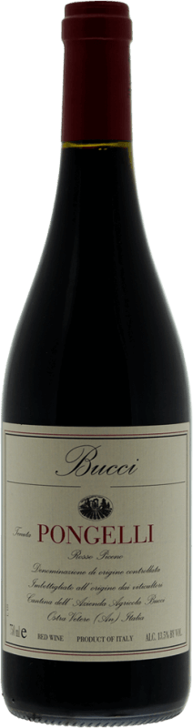 Rosso Piceno Pongelli - Villa Bucci