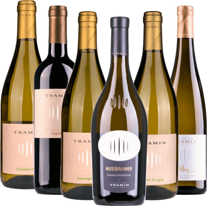 6er Kennenlernpaket - Südtiroler Weine von Cantina Tramin