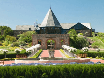 Grand Burge vingård Grand Burge vingård