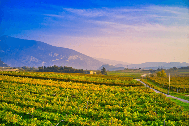 Landskap i Valpolicella Landskap i Valpolicella