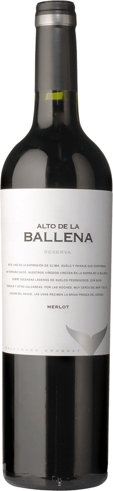 Förhandsvisning: 6er Kennenlernpaket - Weine aus Uruguay