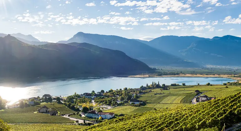 Det perfekta sommarurvalet från Italien – 6x provpaket