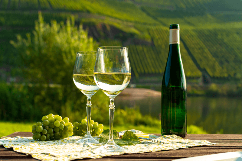 Rejälstest av Riesling i vinfältet Rejälstest av Riesling i vinfältet