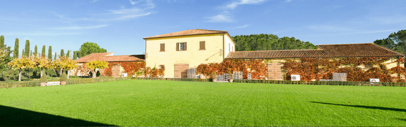 Egendomen Fattoria le Pupille Fattoria le Pupille vingård