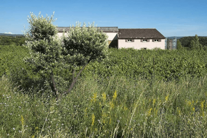 Domaine