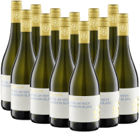 Förhandsvisning: Ein Tag am Meer Sauvignon blanc torr - Weingut hammel - 12x provpaket