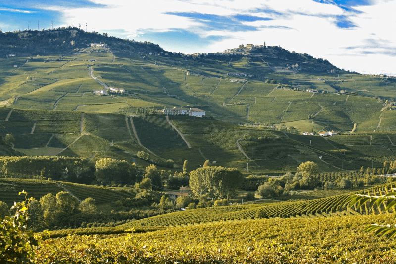 Panorama över vingårdarna i Barolo