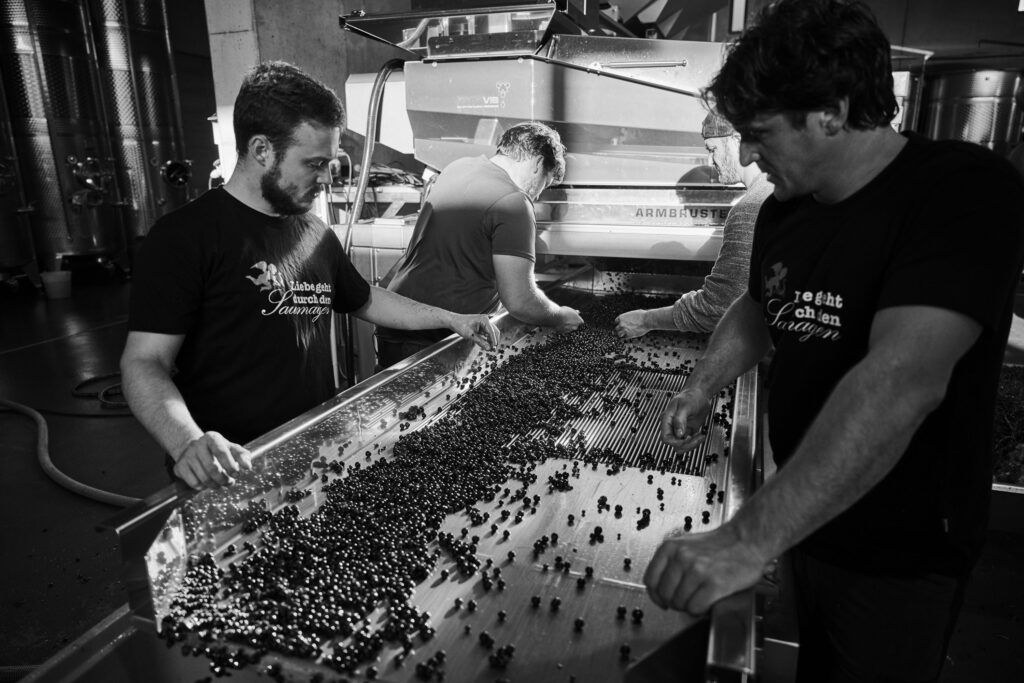 I Weingut Rings vinpresshus