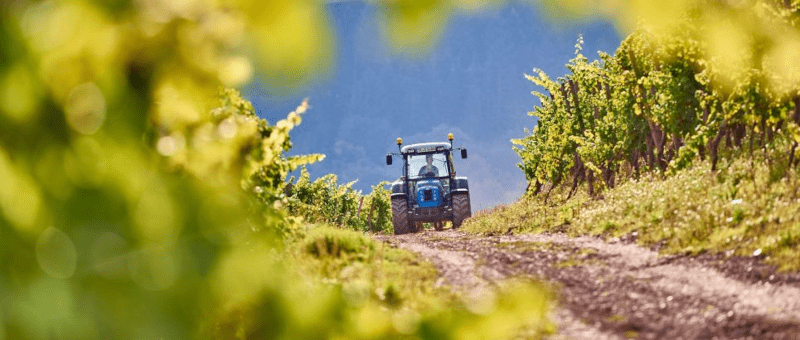 Traktor i vingården Karthaeuserhof Traktor i vingården Karthaeuserhof