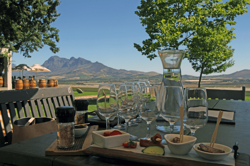 Weinverkostung-im-Weinberg-Suedafrika