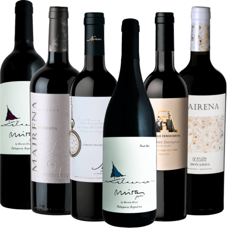 Dolda vin skatter från Argentina av VINELLO - 6-pack upptäckarpaket