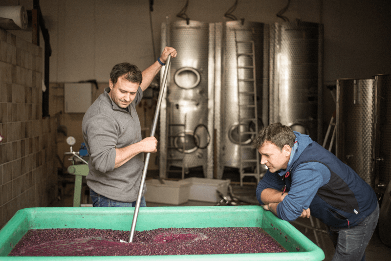 Peter och Fritz May i vinkällaren Peter och Fritz May i vinkällaren