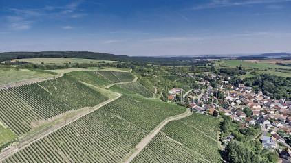 VDP Grossen Lagen erbjuder idealiska förhållanden för förstklassig riesling