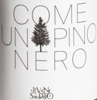 Förhandsvisning: Come Un Pino Nero - Le Vigne Di San Pietro