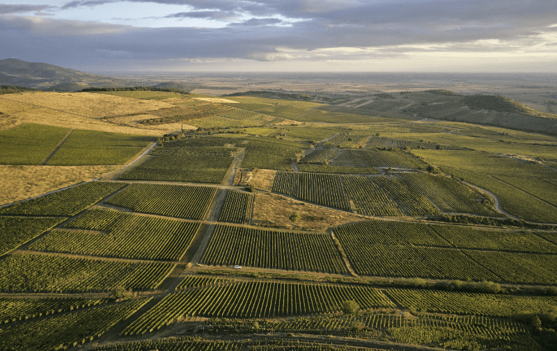 Tokaj Hegyalja vingårdar fågelperspektiv Tokaj Hegyalja vingårdar fågelperspektiv