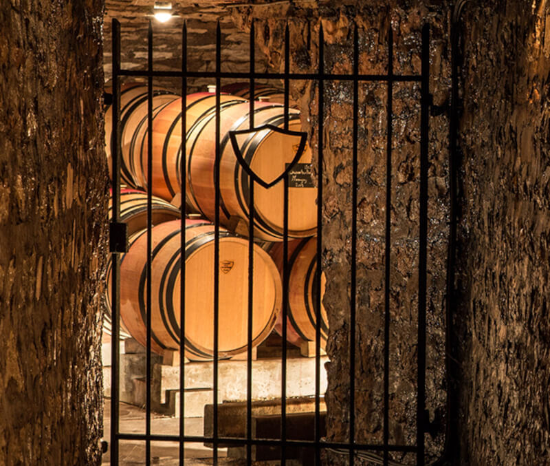 weingut-domaine_de_la_vougeraie-weinberg-1