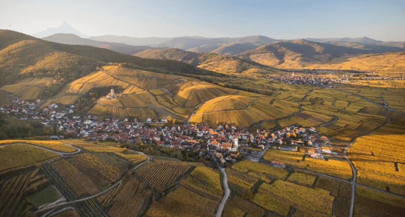 Domaine Marcel Deiss omgivning Domaine Marcel Deiss omgivning