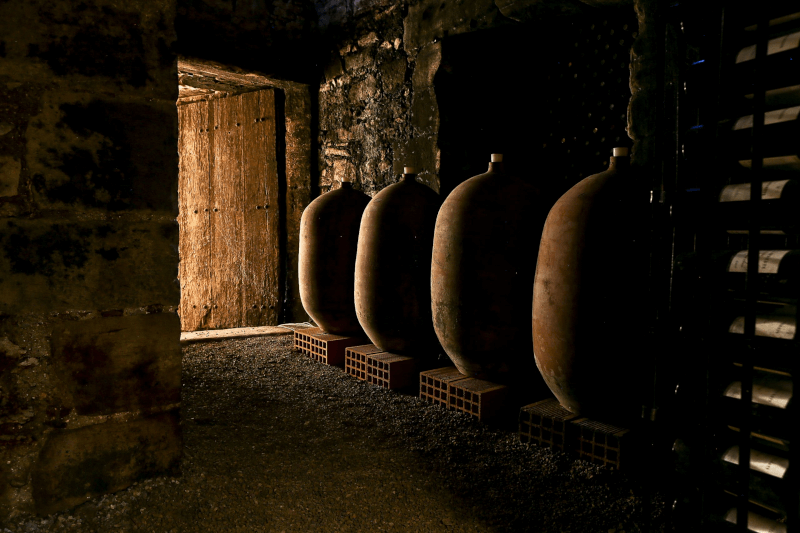 Amfora i Fabre Gasparets källare