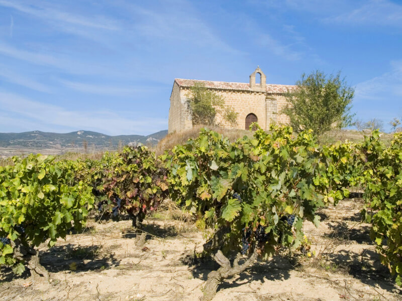 Vinhus Bodegas Taron Vinhus Bodegas Taron