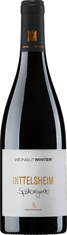 Dittelsheim Spätburgunder aus ersten Lagen - Weingut Winter