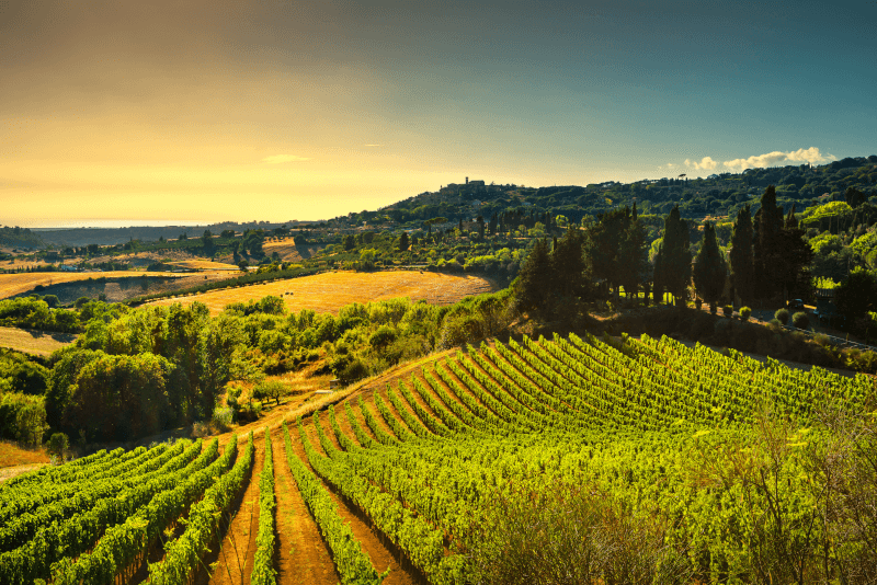 CASTELLO-TOSCANO Den toskanska landsbygden CASTELLO-TOSCANO Den toskanska landsbygden