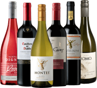 Förhandsvisning: Ring of Wines - Chiles bästsäljare 6x Upptäckarpaket