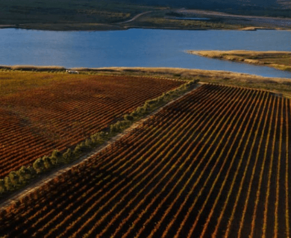 Havsluften blåser runt vingårdarna, även vid floden Uilenkraal