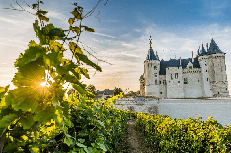 Château i Saumur, centrum för Crémant de Loire Château i Saumur, centrum för Crémant de Loire