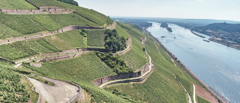 Weingut Leitz Berg Roseneck