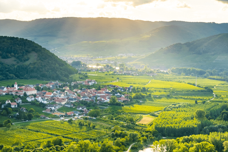 Vinregionen Duna längs Donau