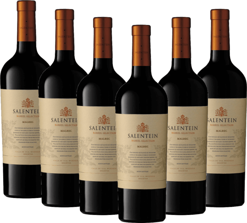Salentein Malbec Barrel Selection - Bodegas Salentein 6x Vorteilspaket