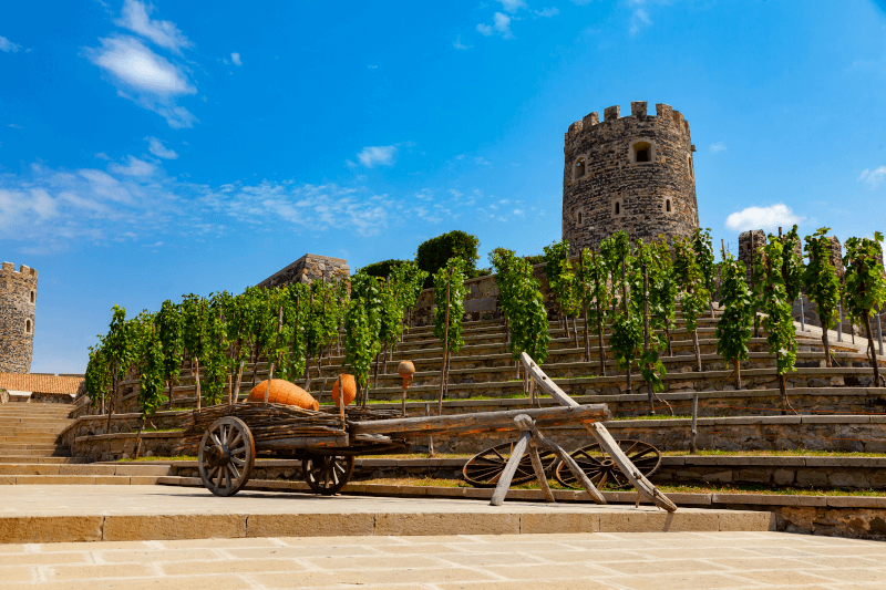 Vingården Rabati Castle i Akhaltsikhe Georgien