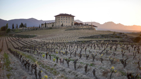 Bodega_Classica