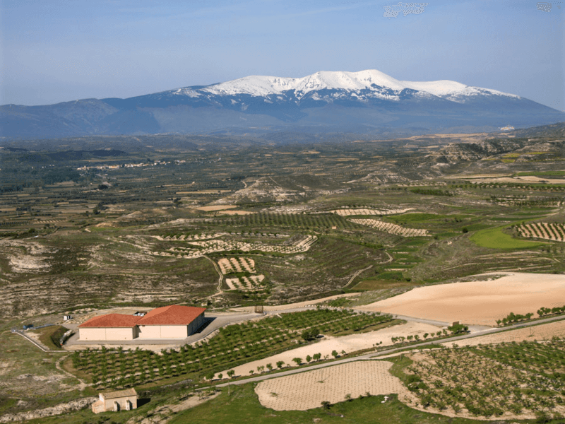 Alto Moncayo vingård
