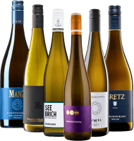 Förhandsvisning: Det bästa från Rheinhessen av VINELLO - 6x provpaket