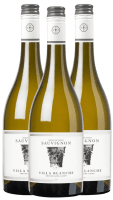 3x Vorteils-Weinpaket Villa Blanche Sauvignon Blanc IGP - Calmel & Joseph