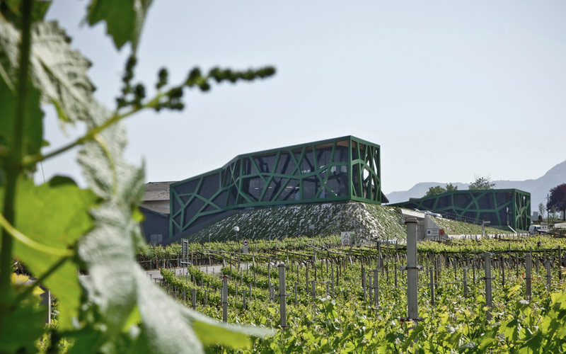 Cantina Tramin vineri och vingårdar