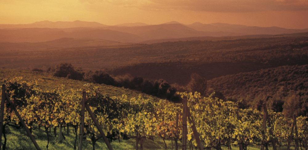 Weijnbauregion Emilia Romagna