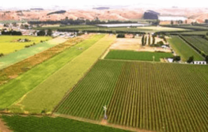 Vingården Fernhill i Hawke's Bay Vingården Fernhill i Hawke's Bay