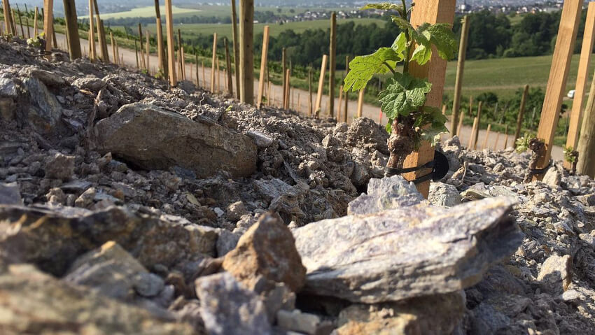 Webbplats Hendelberg Peter Jakob Kühn