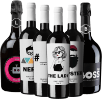 Ikoniska viner från Ferro 13 - 6x introduktionspaket