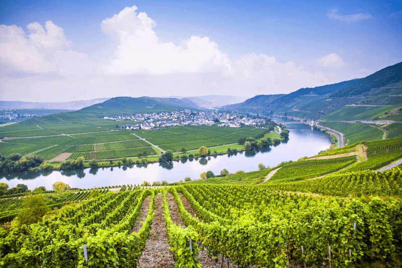 Peter Mertes vineri Rotwild vid Mosel