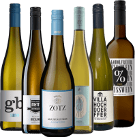 Förhandsvisning: Vitt vin–vinmakarkonst utan alkohol – 6x provpaket