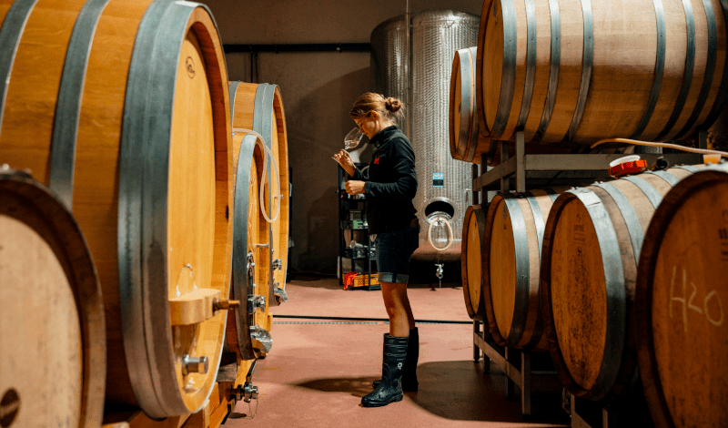 Lisa Bunn i vinkällaren Lisa Bunn im Weinkeller