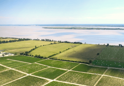 Vindistrikt Chateau Leoville Las Cases Vindistrikt Chateau Leoville Las Cases