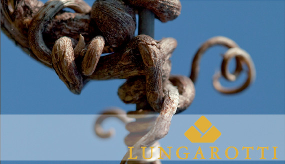 Lungarotti Lungarotti